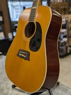 Epiphone - EMEXNAGH 2
